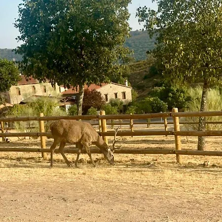 Ferienhaus Un Lugar Llamado Descanso-Casa Completa Junto A Monfraguee Torrejón el Rubio
