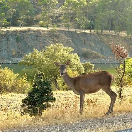 Nyaraló Un Lugar Llamado Descanso En Monfrague