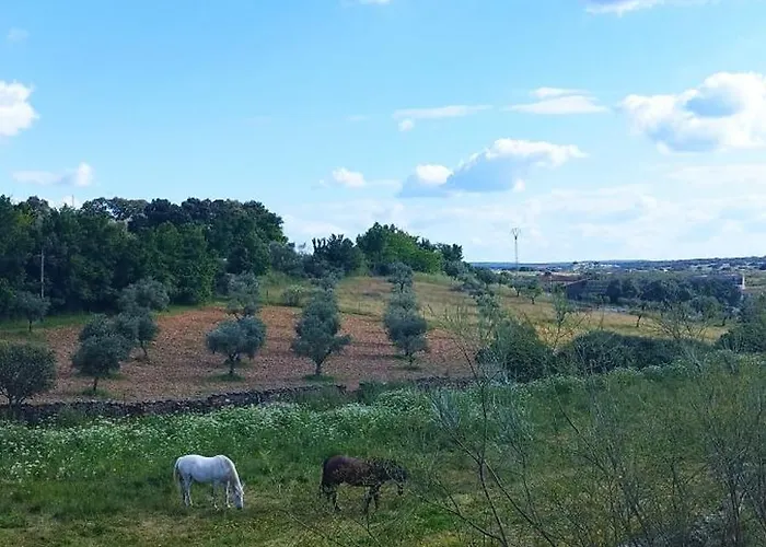 Un Lugar Llamado Descanso En Monfrague