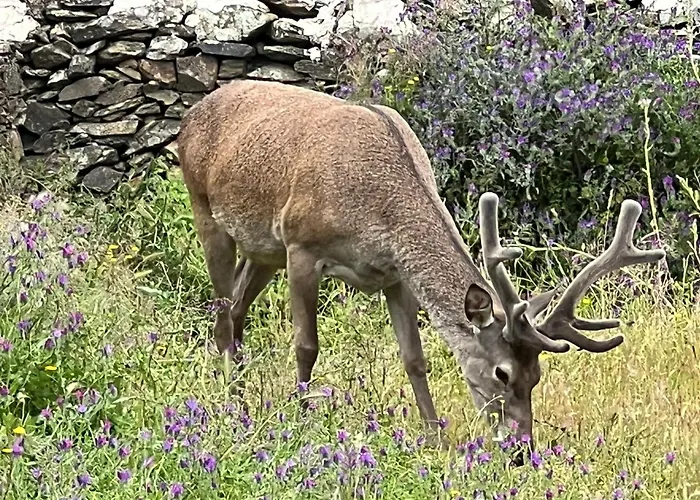 Un Lugar Llamado Descanso En Monfrague Holiday home *